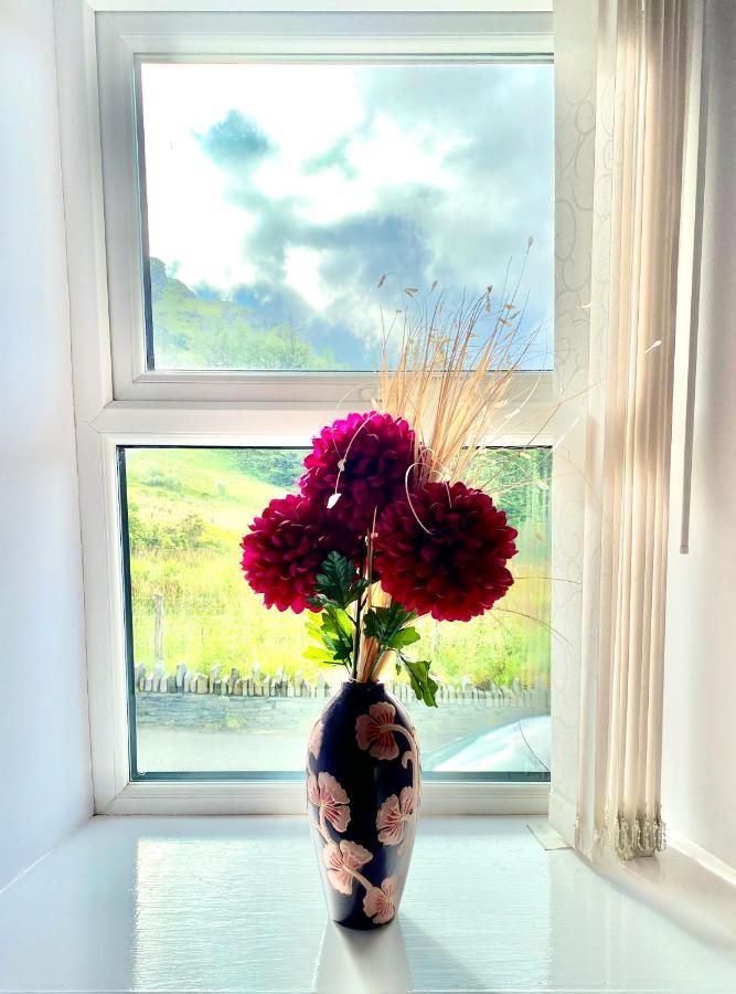 Antur Cottage Blaenau Ffestiniog Exteriér fotografie
