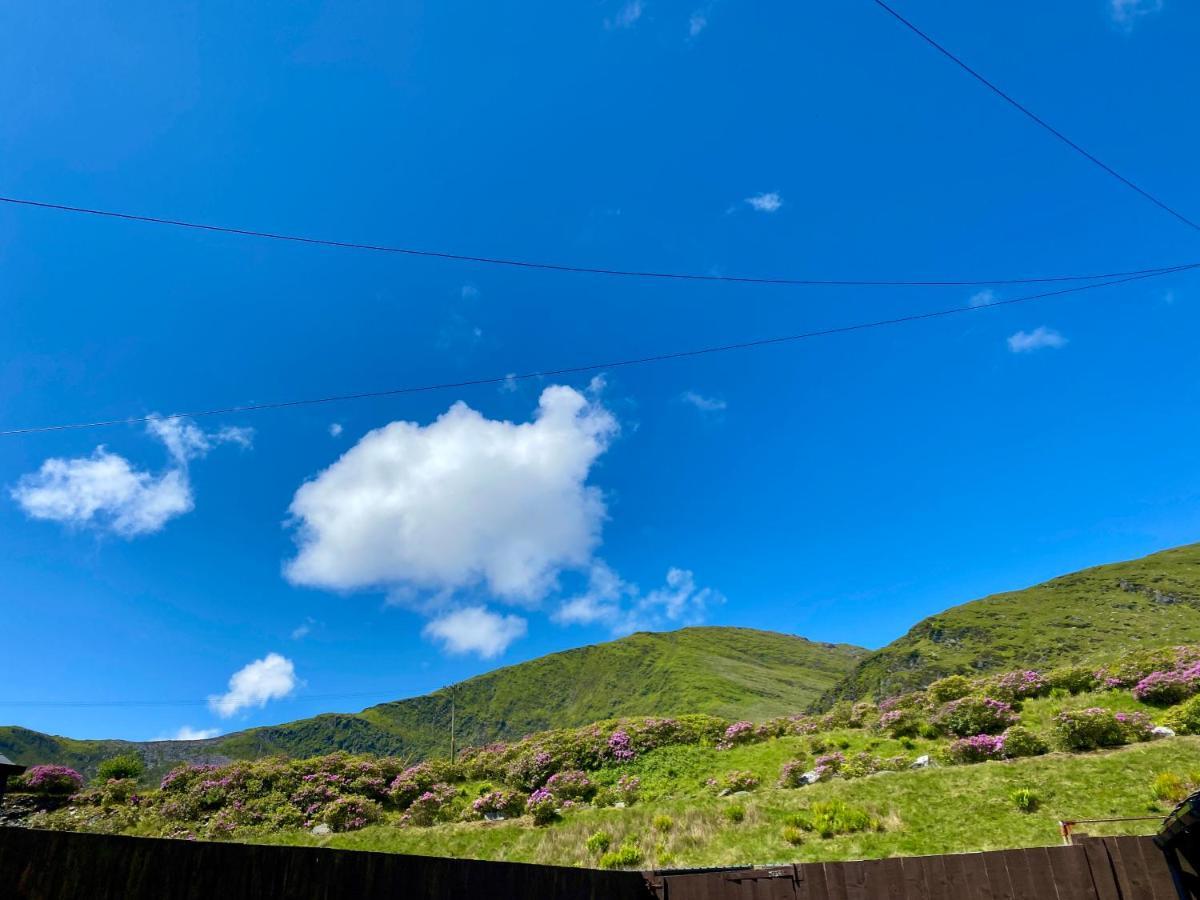 Antur Cottage Blaenau Ffestiniog Exteriér fotografie